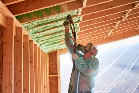 Best Radiant Barrier Insulation  in Fraser, MI