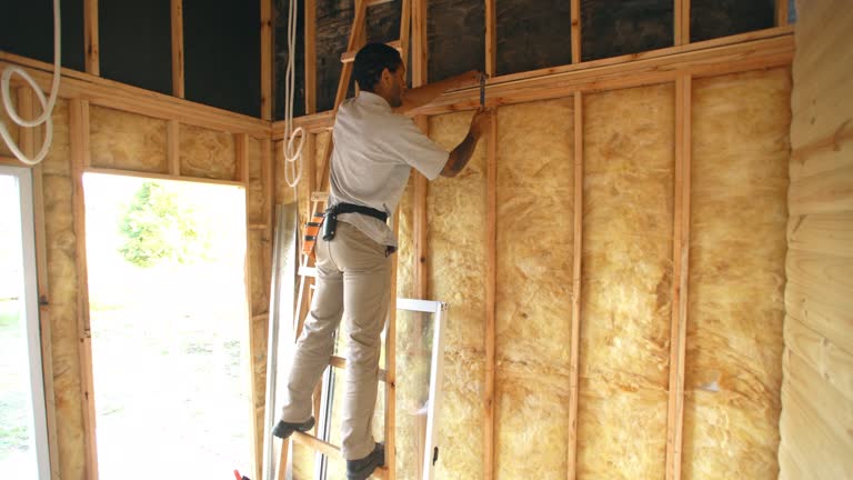 Best Spray Foam Insulation  in Fraser, MI