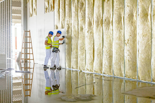 Best Pipe and Duct Insulation  in Fraser, MI